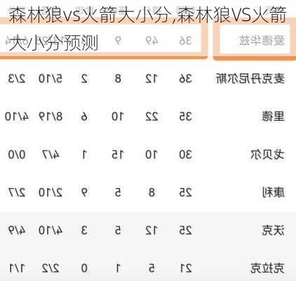 森林狼vs火箭大小分,森林狼VS火箭大小分预测