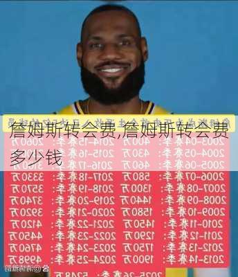 詹姆斯转会费,詹姆斯转会费多少钱
