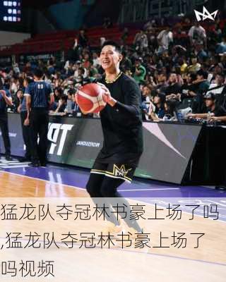 猛龙队夺冠林书豪上场了吗,猛龙队夺冠林书豪上场了吗视频