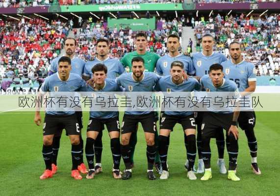 欧洲杯有没有乌拉圭,欧洲杯有没有乌拉圭队