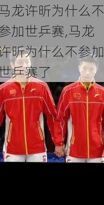 马龙许昕为什么不参加世乒赛,马龙许昕为什么不参加世乒赛了