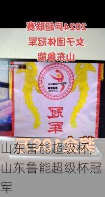 山东鲁能超级杯,山东鲁能超级杯冠军