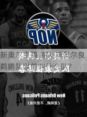 新奥尔良鹈鹕队,新奥尔良鹈鹕队以前叫什么队?