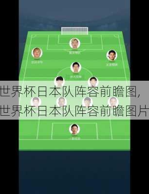 世界杯日本队阵容前瞻图,世界杯日本队阵容前瞻图片