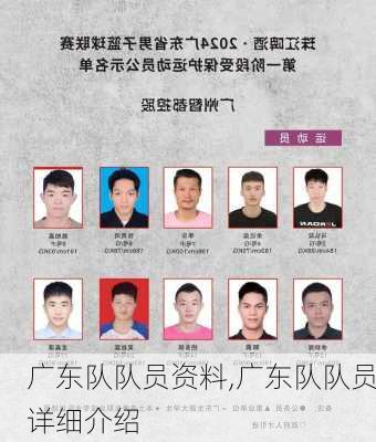 广东队队员资料,广东队队员详细介绍
