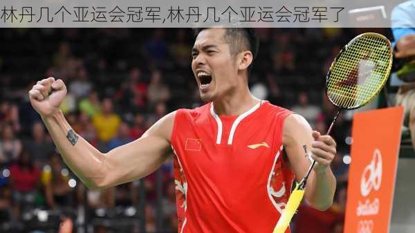 林丹几个亚运会冠军,林丹几个亚运会冠军了