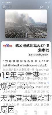 2015年天津港大爆炸,2015年天津港大爆炸事件原因