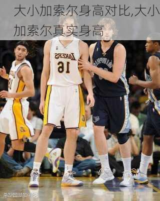 大小加索尔身高对比,大小加索尔真实身高