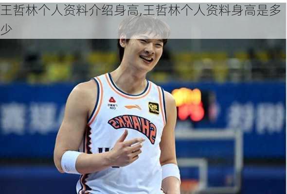 王哲林个人资料介绍身高,王哲林个人资料身高是多少