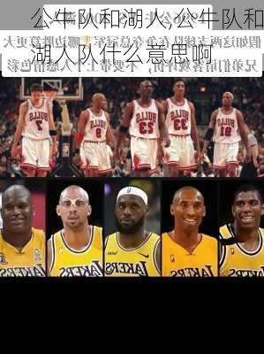 公牛队和湖人,公牛队和湖人队什么意思啊