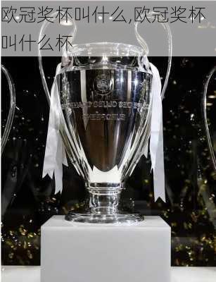 欧冠奖杯叫什么,欧冠奖杯叫什么杯