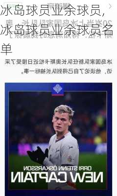 冰岛球员业余球员,冰岛球员业余球员名单