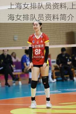 上海女排队员资料,上海女排队员资料简介