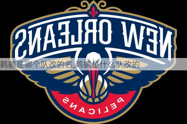 鹈鹕是哪个队改的名,鹈鹕是什么队改的