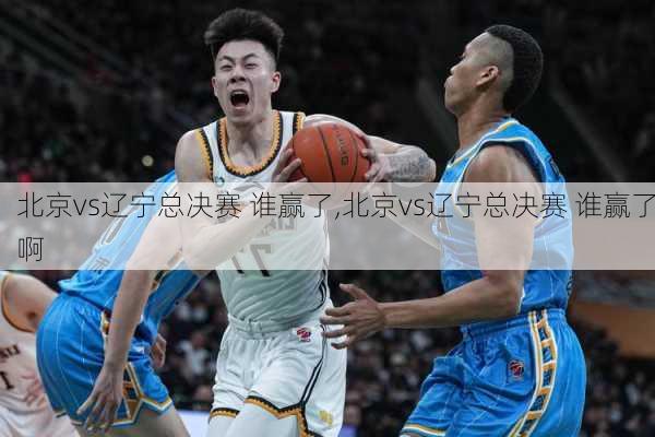 北京vs辽宁总决赛 谁赢了,北京vs辽宁总决赛 谁赢了啊