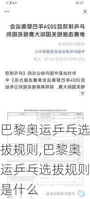 巴黎奥运乒乓选拔规则,巴黎奥运乒乓选拔规则是什么